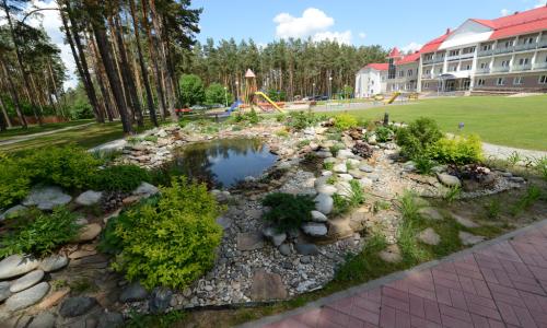Санаторий Сосны Гомельская область - Фото 7. Территория санатория. Искусственный пруд
