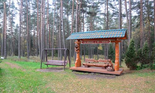 Санаторий Белая Русь Минская область - Фото 13. Территория