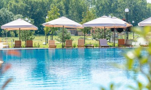 Отель «Rinn Rise Resort» / «Ринн Райз Резорт» Анапа - Фото 18. Бассейн