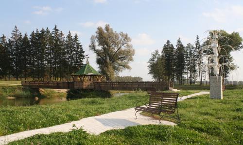 Санаторий им. Орловского Могилевская область - Фото 6. Территория