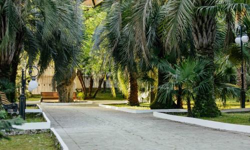Amra Park-hotel SPA Гагра - Фото 31. Территория
