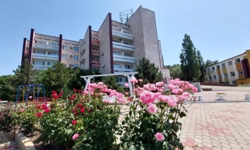 Пансионат «Приморский» Кабардинка, Геленджик - Фото 10. Территория