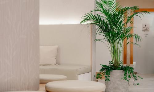 «Mantera Resort Congress 5*» / «Мантера Резорт и Конгресс» отель Сочи - Фото 52. СПА-комплекс (14)