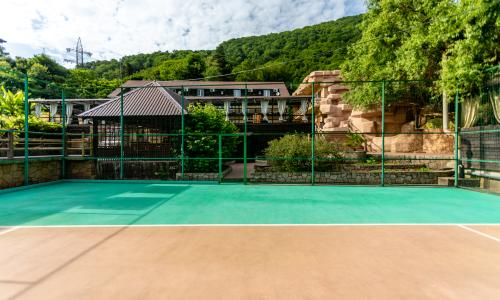 Отель Роз Мари Лазаревское, Сочи - Фото 53. Спортивная площадка