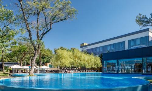 ПРИМОРЬЕ GRAND RESORT HOTEL Геленджик - Фото 3. Бассейн
