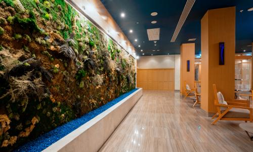 Sochi Marriott Krasnaya Polyana Красная Поляна, Сочи - Фото 54. Соул Спа