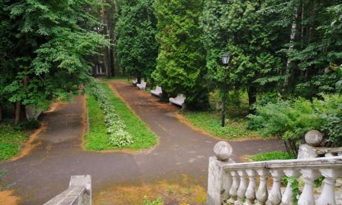 Санаторий им. Горького Москва и Подмосковье - Фото 9. Территория