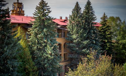 Санаторий Москва Кисловодск - Фото 4. Территория
