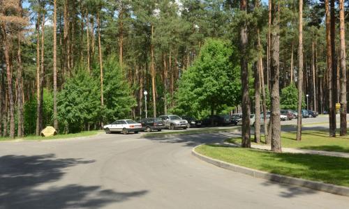 Санаторий Сосны Гомельская область - Фото 18. Территория санатория. Автотоянка