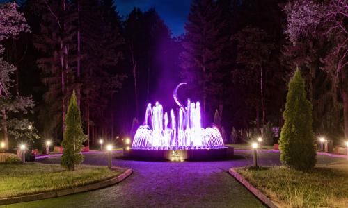 Отель «LES Art Resort» Москва и Подмосковье - Фото 9. Территория