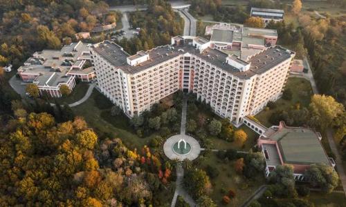 Санаторий Самшитовая роща Пицунда - Фото 8. Территория