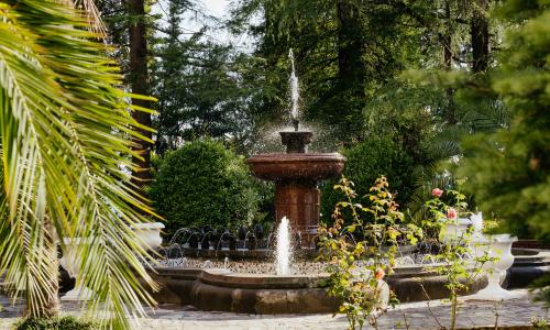 Amra Park-hotel SPA Гагра - Фото 28. Территория