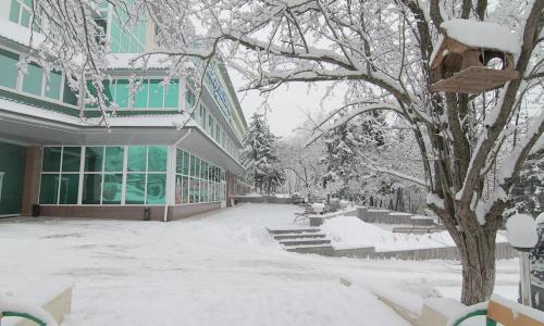 Санаторий Пятигорский Нарзан Пятигорск - Фото 6. Территория