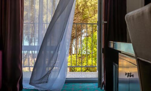WELLNESS Park Hotel (Велнес Парк) Гагра - Фото 55. Комфорт 2-местный (TWIN/DBL)