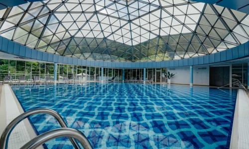 Amra Park-hotel SPA Гагра - Фото 98. Термальный комплекс