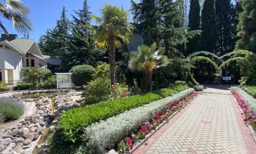 Санаторий Демерджи Алушта - Фото 9. Территория