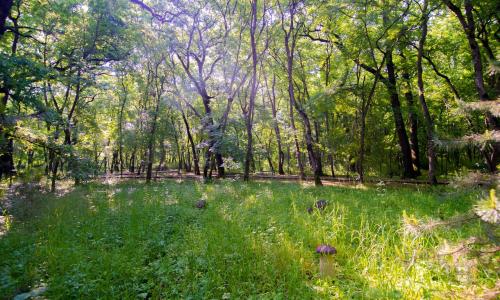 Санаторий Долина Нарзанов Железноводск - Фото 7. Территория