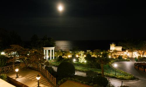 Отель PALMIRA PALACE Ялта - Фото 24. Территория