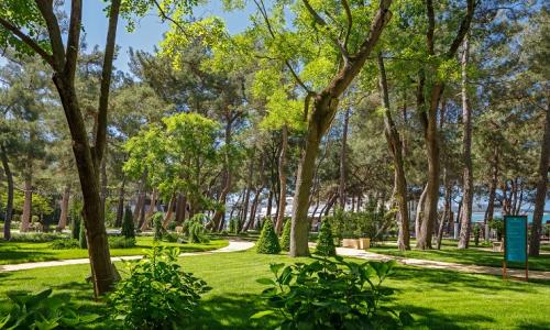 ПРИМОРЬЕ GRAND RESORT HOTEL Геленджик - Фото 20. Территория