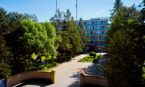Санаторий Сосновый бор Минская область - Фото 17. Главный корпус