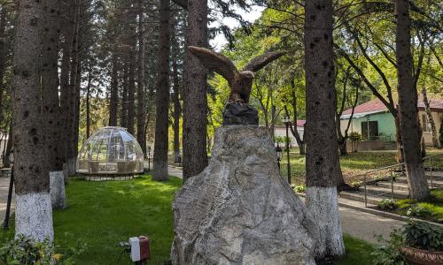 Пансионат Геолог Казахстана Железноводск - Фото 7. Территория
