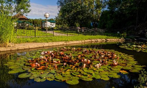 Санаторий Приозерный Минская область - Фото 223. Пруд