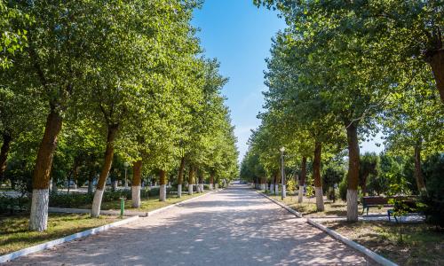 «Volna Sea Village» / «Волна Сиа Виладж» Анапа - Фото 13. Территория