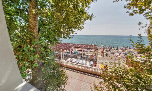 Тополь Лазаревское, Сочи - Фото 8. Вид