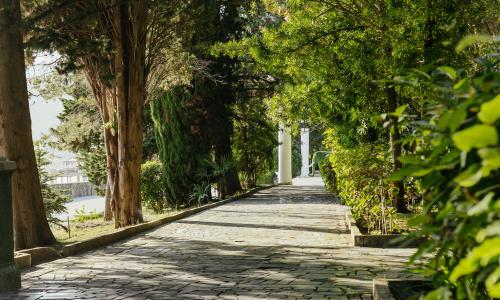 Amra Park-hotel SPA Гагра - Фото 30. Территория