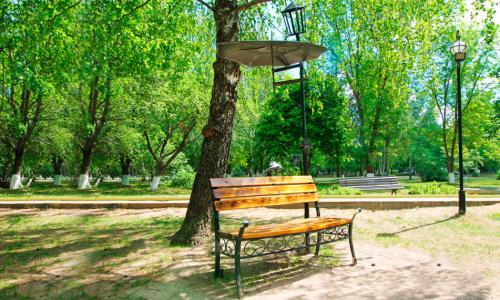 Санаторий Приднепровский Гомельская область - Фото 17. Территория