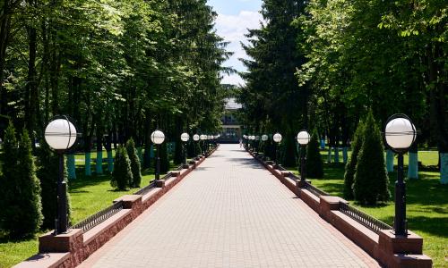 Санаторий Случь Минская область - Фото 5. Главная аллея