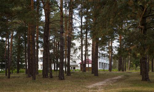 Санаторий Берестье Брестская область - Фото 8. Территория