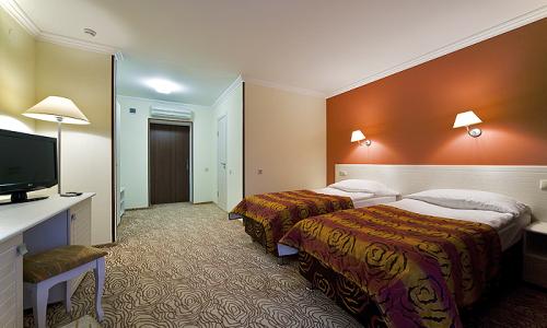 Alex Resort & Spa Hotel Гагра - Фото 103. Стандартный 2-местный (Эконом)