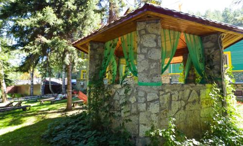 Пансионат Старые друзья Белокуриха - Фото 24. Территория