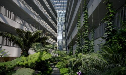 Санаторий Кристалл Хоста, Сочи - Фото 26. Флористический атриум