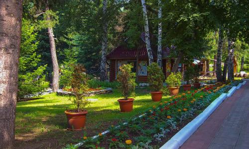 Пансионат Старые друзья Белокуриха - Фото 20. Территория