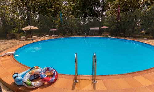 WELLNESS Park Hotel (Велнес Парк) Гагра - Фото 41. бассейн