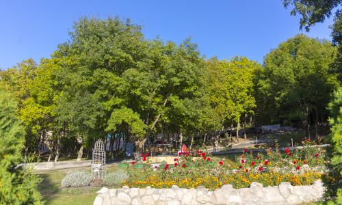 Санаторий Дубрава Железноводск - Фото 13. Территория