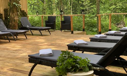 «Лес» SPA-отель Красная Поляна, Сочи - Фото 5