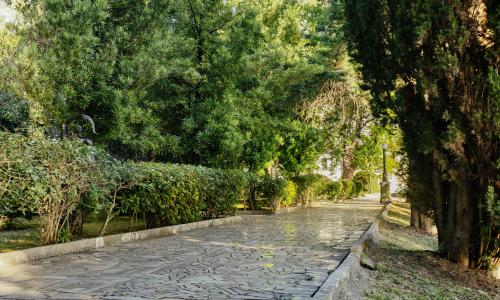 Amra Park-hotel SPA Гагра - Фото 29. Территория