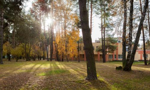 Санаторий БУГ Брестская область - Фото 12. Территория