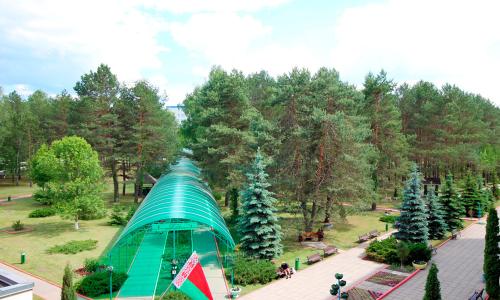 Санаторий Приднепровский Гомельская область - Фото 7. Территория