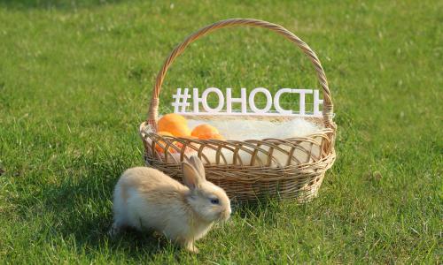 Санаторий Юность Минская область - Фото 9. территория