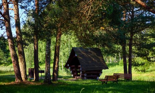 Санаторий Сосновый бор Минская область - Фото 6. Площадка (беседка) для шашлыков