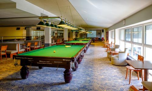 Отель «LES Art Resort» Москва и Подмосковье - Фото 25. Бильярд