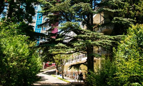 Пансионат Нева Алушта - Фото 10. Территория