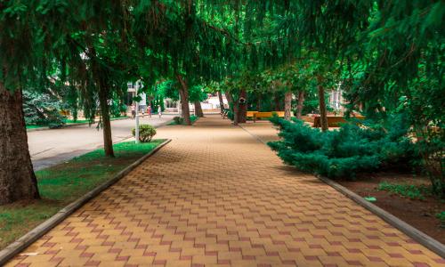Пансионат «Приморский» Дивноморское, Геленджик - Фото 13. Территория