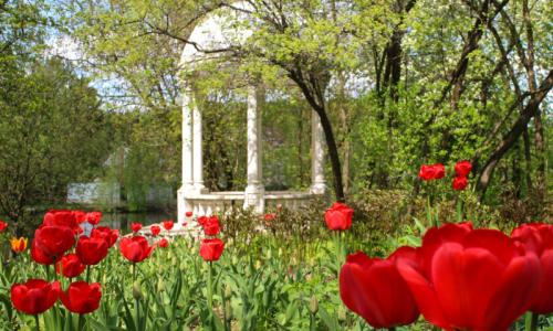 Санаторий Ревиталь Парк Москва и Подмосковье - Фото 7. Территория
