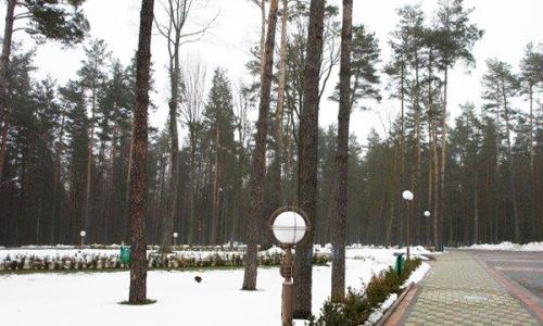 Санаторий Свитязь Гродненская область - Фото 15. Территория