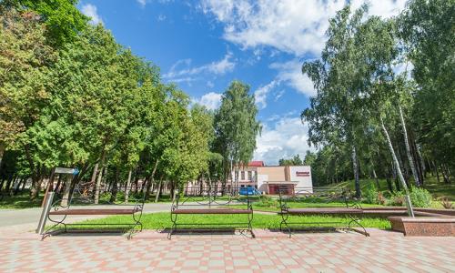 Санаторий Криница Минская область - Фото 12. Территория